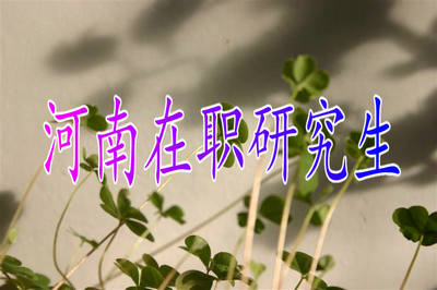 河南臨床藥學(xué)在職研究生