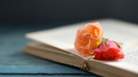 云南師范大學(xué)數(shù)學(xué)在職研究生報(bào)名
