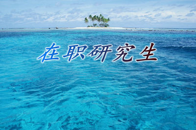 在職研究生冶金工程哪個學校好